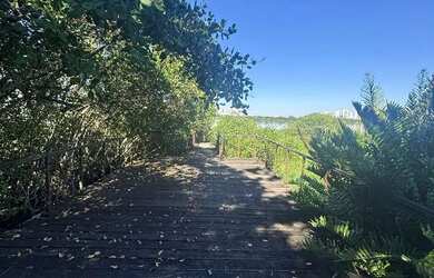 Imagem 6: Terreno com 34.369 m² e 220m de frente no Itanhangá ideal para investidores