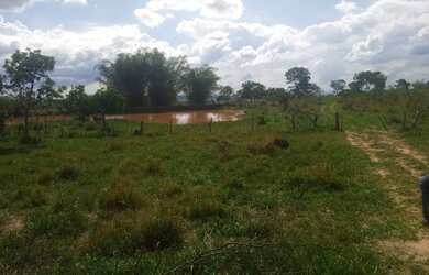 Imagem 6: Fazenda de 625 Hectares de Terras de Cultura e Cerrado Vermelho, Muita...