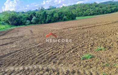 Imagem 11: Sítio em Centro - Centro - São Miguel Arcanjo/SP