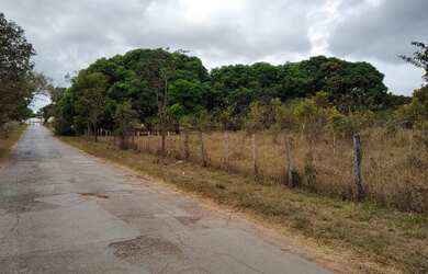 Imagem 16: 11.000 M2 BR 135 Acesso ao Pentáurea