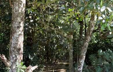 Imagem 16: Condomínio Village Recanto da Mata Bela Vista Goiás linda chácara disponível...