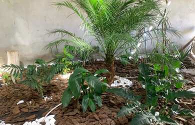 Imagem 15: Oportunidade - Casa - Jardim Santa Júlia - 3 Dormitórios - 244m²