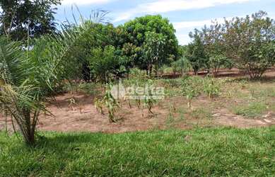 Imagem 5: Chácara Residencial disponível para Venda no bairro Área Rural em Uberlândia-MG