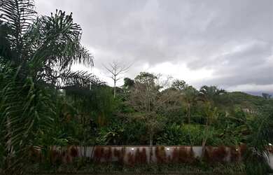 Imagem 14: Casa 3 Quartos em Condomínio Fechado no Recreio