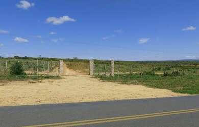 Imagem: A fazenda está localizado em Morro do Chapéu, BA à venda