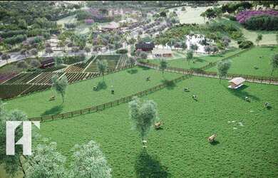 Imagem 6: Terreno Condomínio, 1000 m² por R$ 290.000 - Fazenda Barão do Império - Santa Leopoldina/E