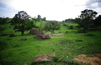 Imagem 2: Fazenda à venda, 1210000 m² por R$ 5.998.000,00 - Sousas - Campinas/SP