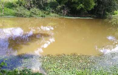 Imagem: A fazenda possui 31m² de Área e está localizado em Guapé