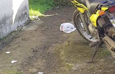 Imagem 6: Casa Casa com 2 dormitórios