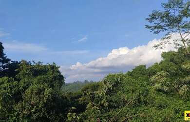 Imagem 10: Sítio / Chácara para Venda em Nova Petrópolis, Canto Ruckert