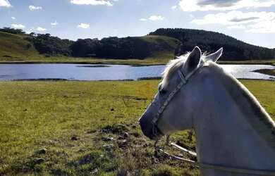 Imagem 7: Sítio em São José dos Ausentes