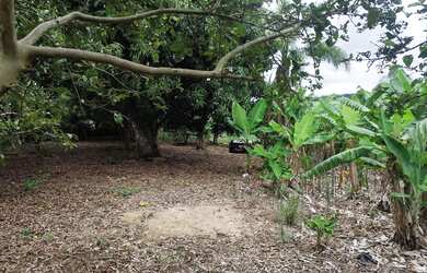 Imagem: A chácara possui 2.500m² de Área e está localizado em Vila