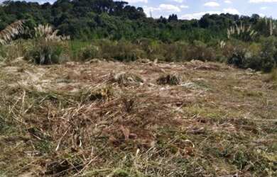 Imagem 6: Lote urbano. 360m² de Área