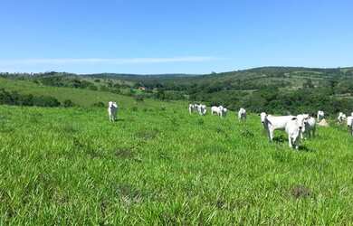 Imagem 10: Fazenda em Corumbaíba. Imóvel novo