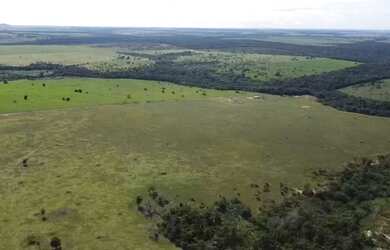 Imagem: A fazenda possui 100.000m² de Área e está localizado em