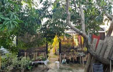 Imagem 6: Oportunidade para investimento Maravilhoso horto em Jaconé, Maricá