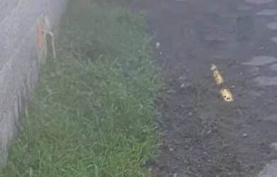 Imagem 5: Casa Casa com 2 dormitórios