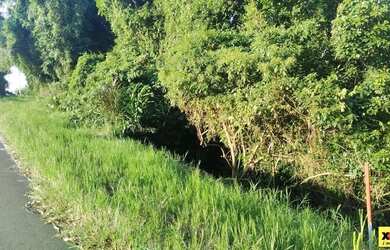 Imagem 8: Sítio / Chácara para Venda em Nova Petrópolis, Canto Ruckert