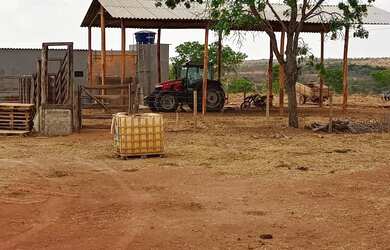 Imagem 8: Fazenda de 625 Hectares de Terras de Cultura e Cerrado Vermelho, Muita...