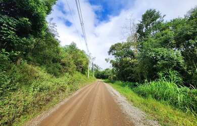 Imagem: A fazenda possui 40.172m² de Área e está localizado em Nova