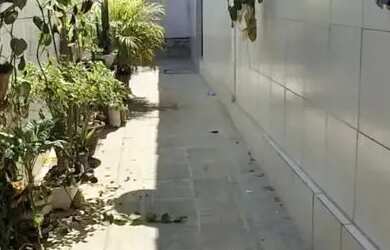 Imagem 11: Casa à venda em rua pública, OURO PRETO, Olinda, PE