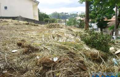 Imagem 10: TERRENO - JARDIM RINCÃO - SP