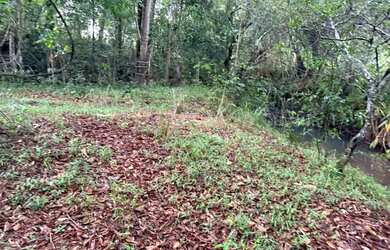 Imagem 12: Fazendinhas rurais em juatuba