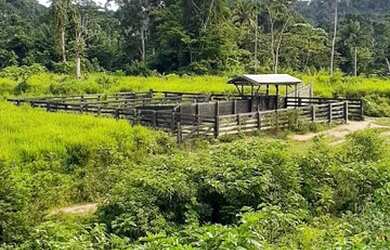 Imagem: A fazenda está localizado em Rurópolis, PA à venda por R$450.000