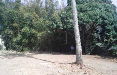 Imagem 14: Terreno com 1600 m², Vista para o Mar, Praia da Siriuba - Ilhabela