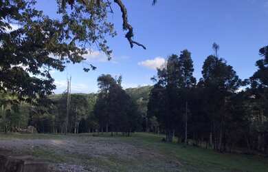 Imagem: Canela - Chácara - Santa Terezinha