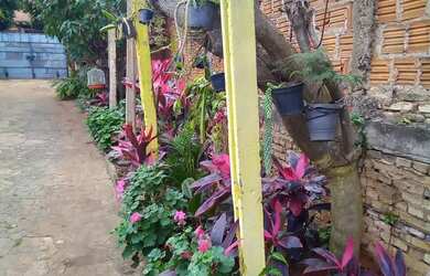 Imagem: A casa possui 3 Dormitórios, 1 Banheiro, 2 Vagas na garagem