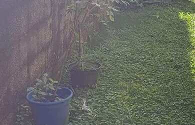 Imagem 14: Casa Casa com 2 dormitórios