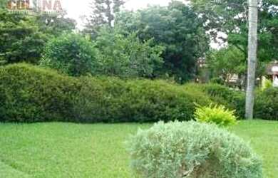 Imagem 5: Terreno à venda, 1330 m² por R$ 525.000,00 - Maria Paula - Niterói/RJ