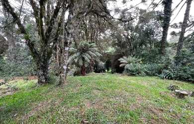 Imagem 7: Terreno - Bairro São José