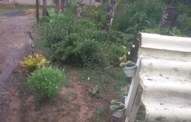 Imagem 10: Chacara prox a rodovia apenas 135 mil reais