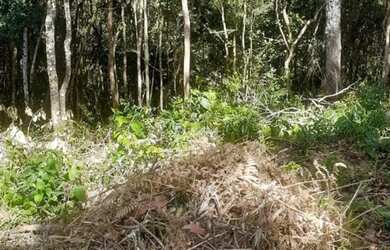 Imagem 3: Vende-se terreno Para sítio em Aruja