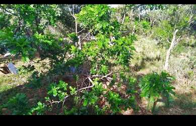 Imagem: A chácara possui 2.500m² de Área e está localizado em Independência