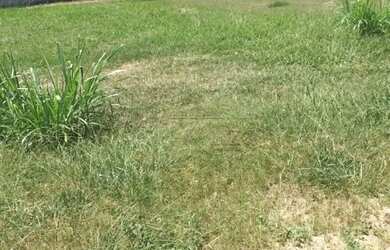 Imagem: O terreno possui 1.000m² de Área e está localizado em Jacareí