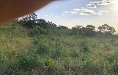 Imagem 14: Arrendo Fazenda de 18 alqueires próxima ao asfalto