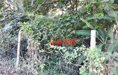 Imagem 8: Terreno à venda, 5000 m² por R$ 400.000 - Piratininga - Niterói/RJ - TE0714