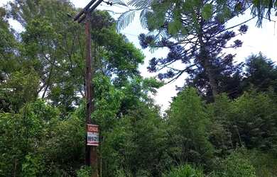 Imagem: A fazenda possui 5.000m² de Área e está localizado em Bocaiúva