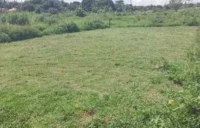 Imagem: O terreno possui 825m² de Área e está localizado em Paço