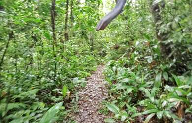 Imagem 9: Terreno próximo a cachoeira do monjolo 4 mil MTS