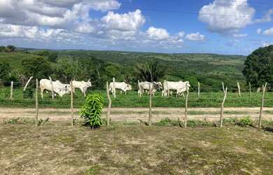Imagem: Sítio Branquinha / União