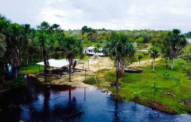 Imagem 3: Sítio km 45 de Novo Airão, Igarapé de água corrente, Luxo