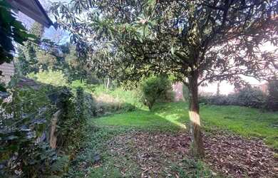 Imagem 2: Terreno - Bairro Avenida Central