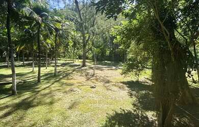 Imagem 12: Terreno com 34.369 m² e 220m de frente no Itanhangá ideal para investidores