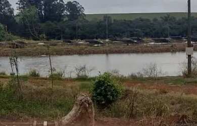 Imagem 11: Fazenda de Piscicultura. 273.460m² de Área