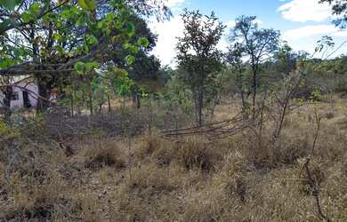 Imagem 6: 11.000 M2 BR 135 Acesso ao Pentáurea