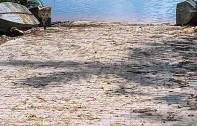 Imagem 6: Terrenos Urbanos e em Chácara